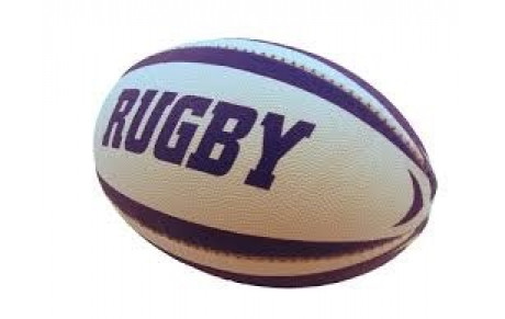 RUGBY DES FORTUNES DIVERSES....
